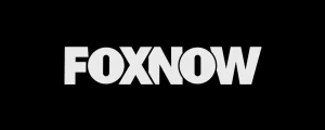 FOXNOW-300x120-1-1
